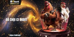 ga-choi-c1-8kbet-1